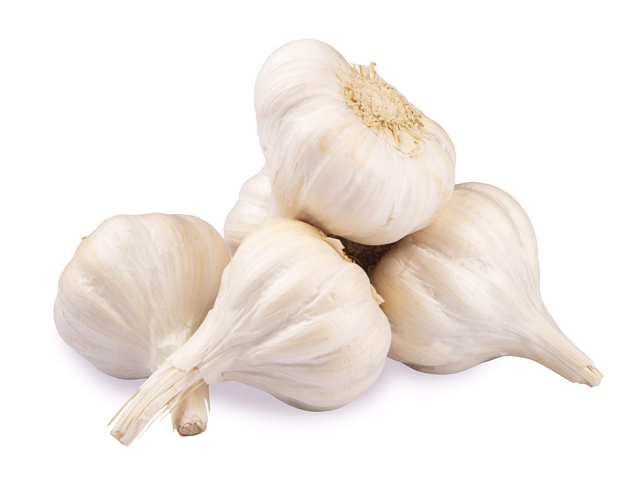 Garlic | Velluli