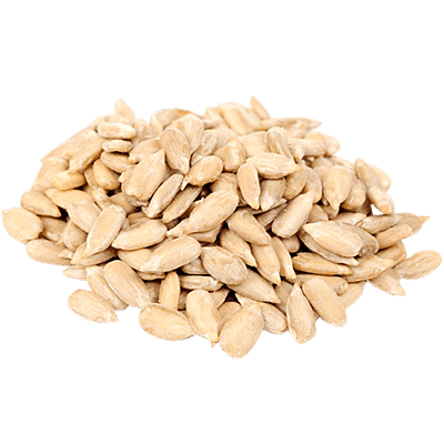 Sunflower Seeds